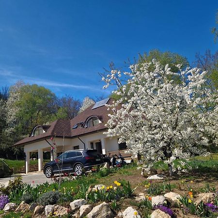 ホテル Provence スチャヴァ エクステリア 写真