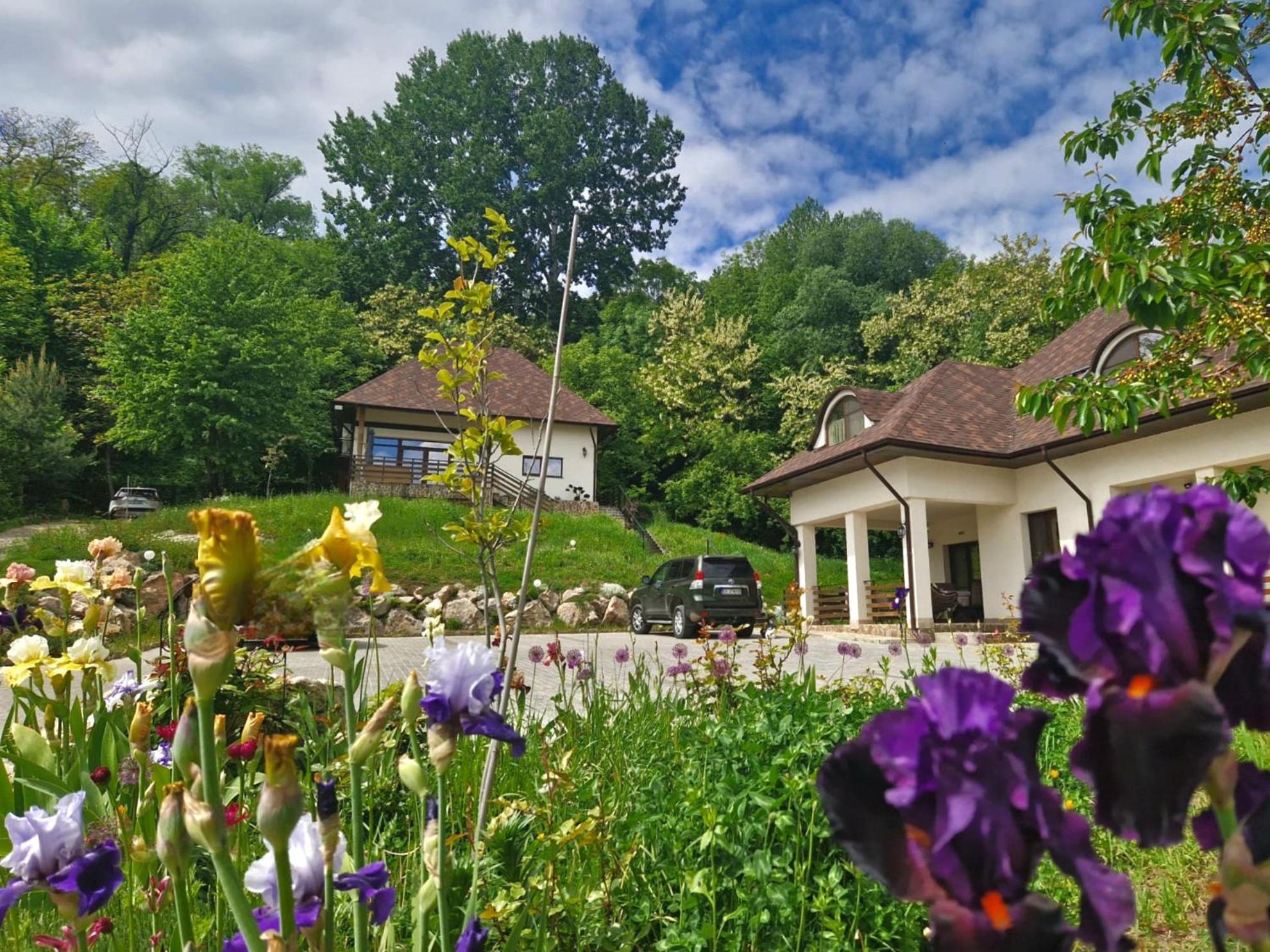 ホテル Provence スチャヴァ エクステリア 写真